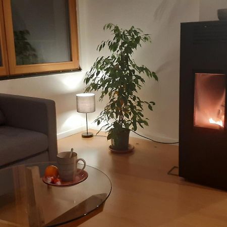 La Ticinella Apartment Losone ภายนอก รูปภาพ
