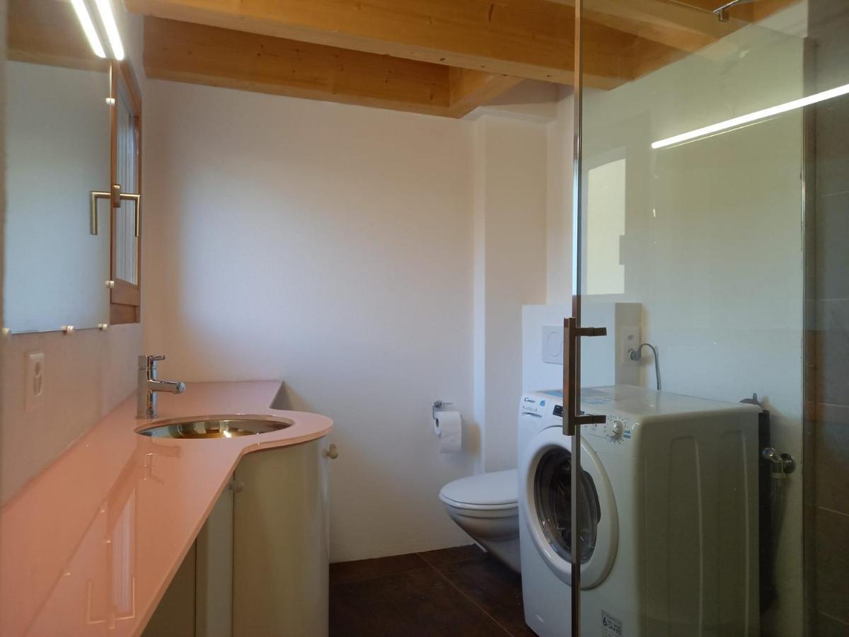 La Ticinella Apartment Losone ภายนอก รูปภาพ