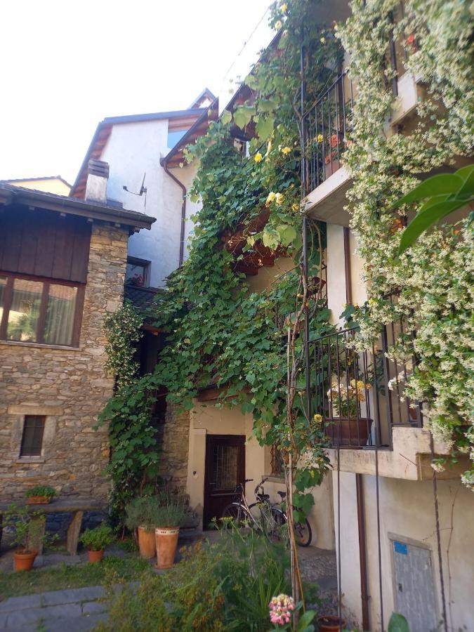 La Ticinella Apartment Losone ภายนอก รูปภาพ