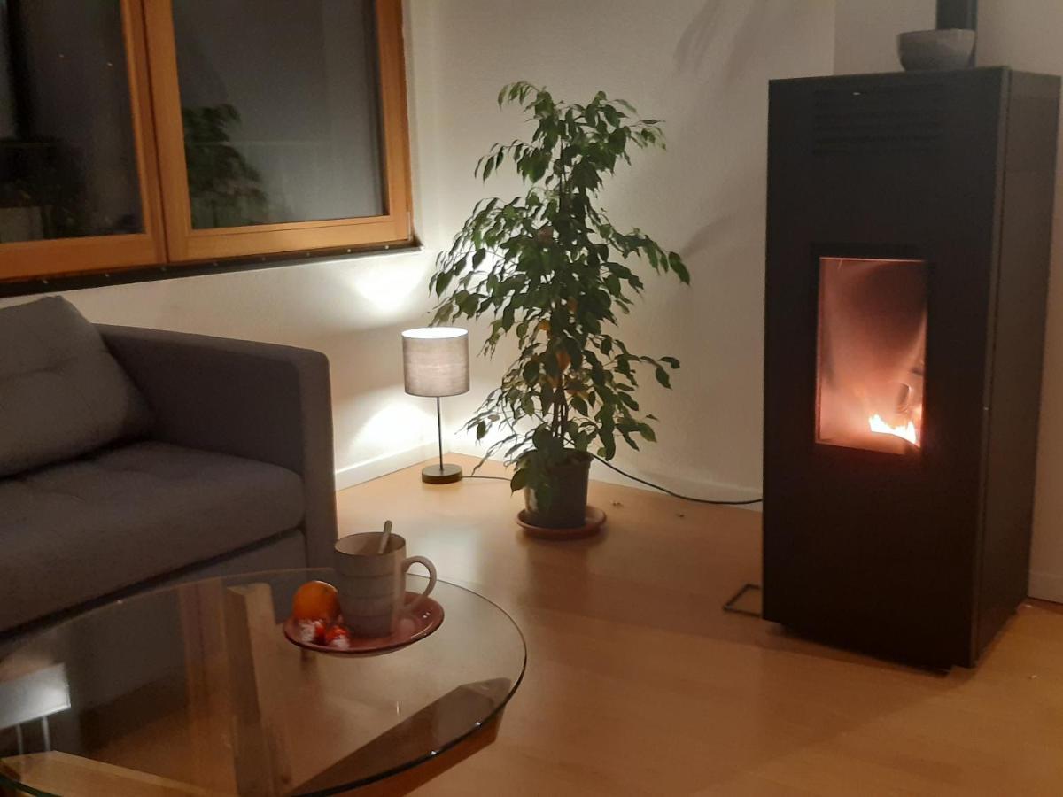 La Ticinella Apartment Losone ภายนอก รูปภาพ